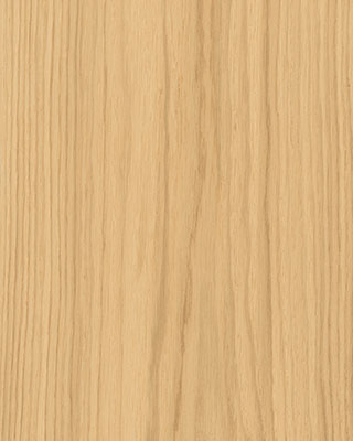 modern_honey